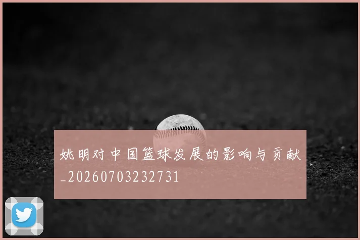 姚明对中国篮球发展的影响与贡献_20260703232731