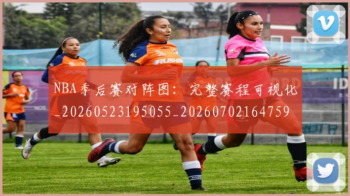 NBA季后赛对阵图:完整赛程可视化_20260523195055_20260702164759